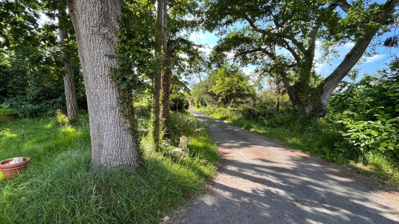 Vila Metairie De Moutiques Cazaubon Exteriér fotografie