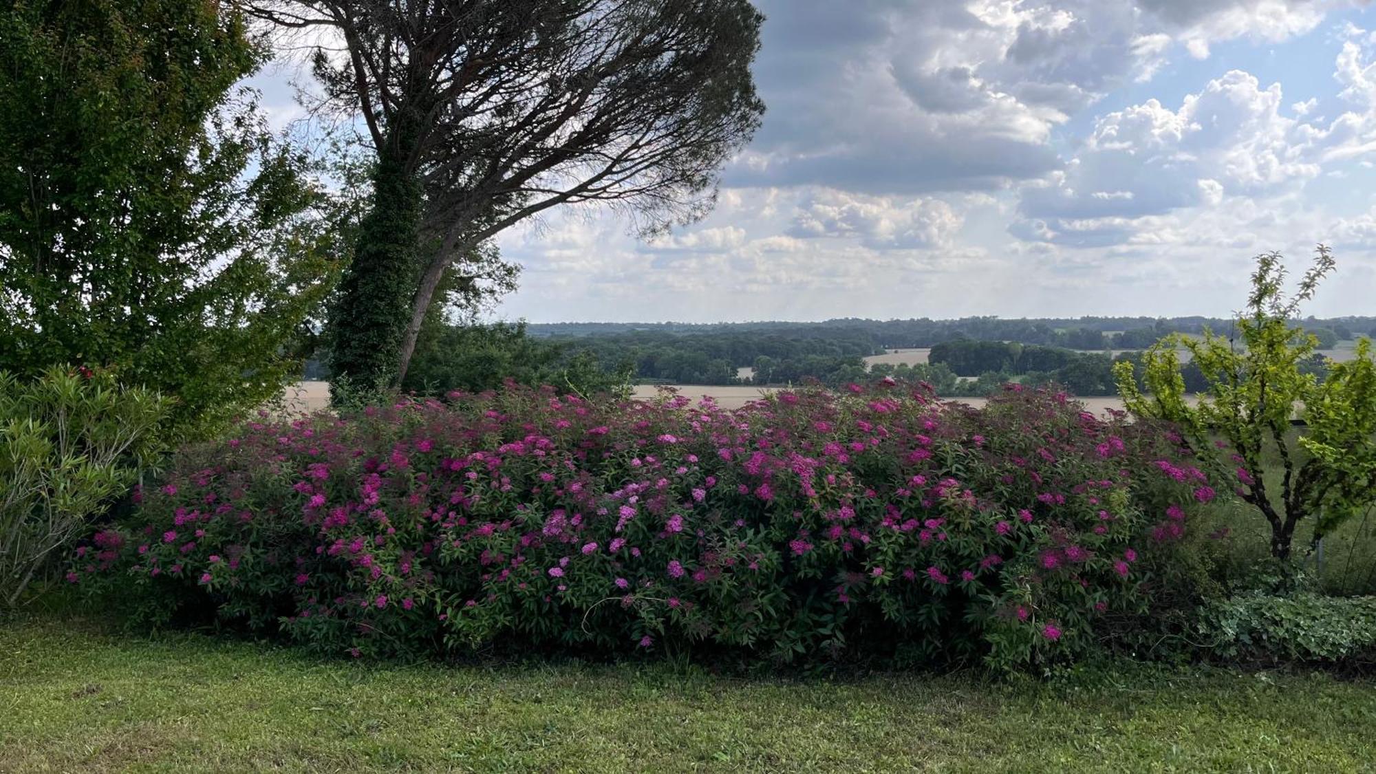 Vila Metairie De Moutiques Cazaubon Exteriér fotografie
